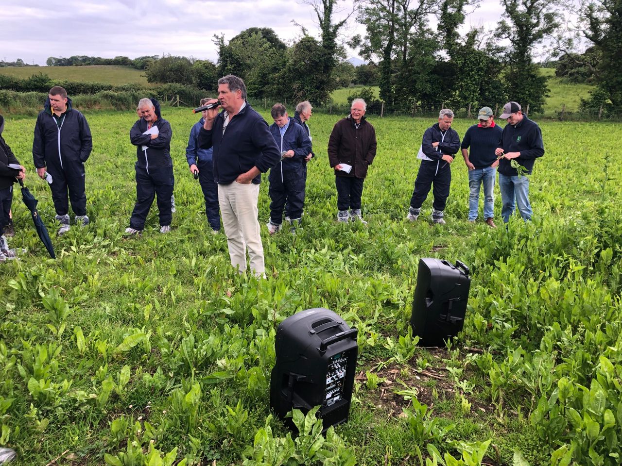 Beef Focus: ‘Growing multi-species swards requires a total mindset change’