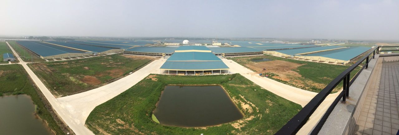 Video: Inside the biggest dairy farm in China - home to 40,000 cows
