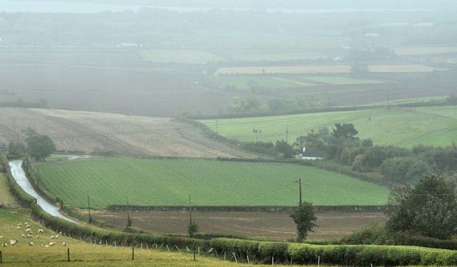 UFU: 'Genuine partnerships needed to tackle ammonia'