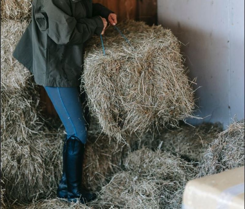 £500k in funding to help women and young people develop agri skills