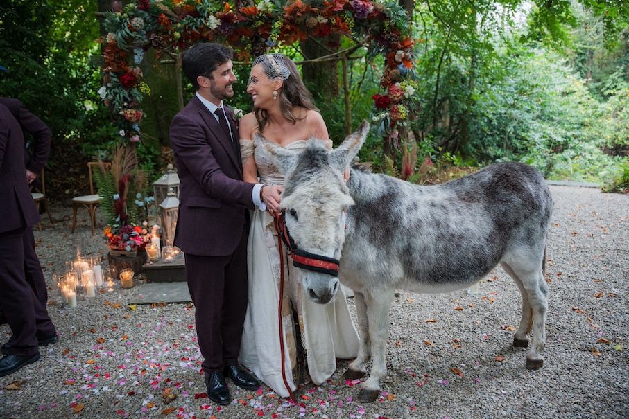 Meet Quiney, the donkey VIP wedding guest
