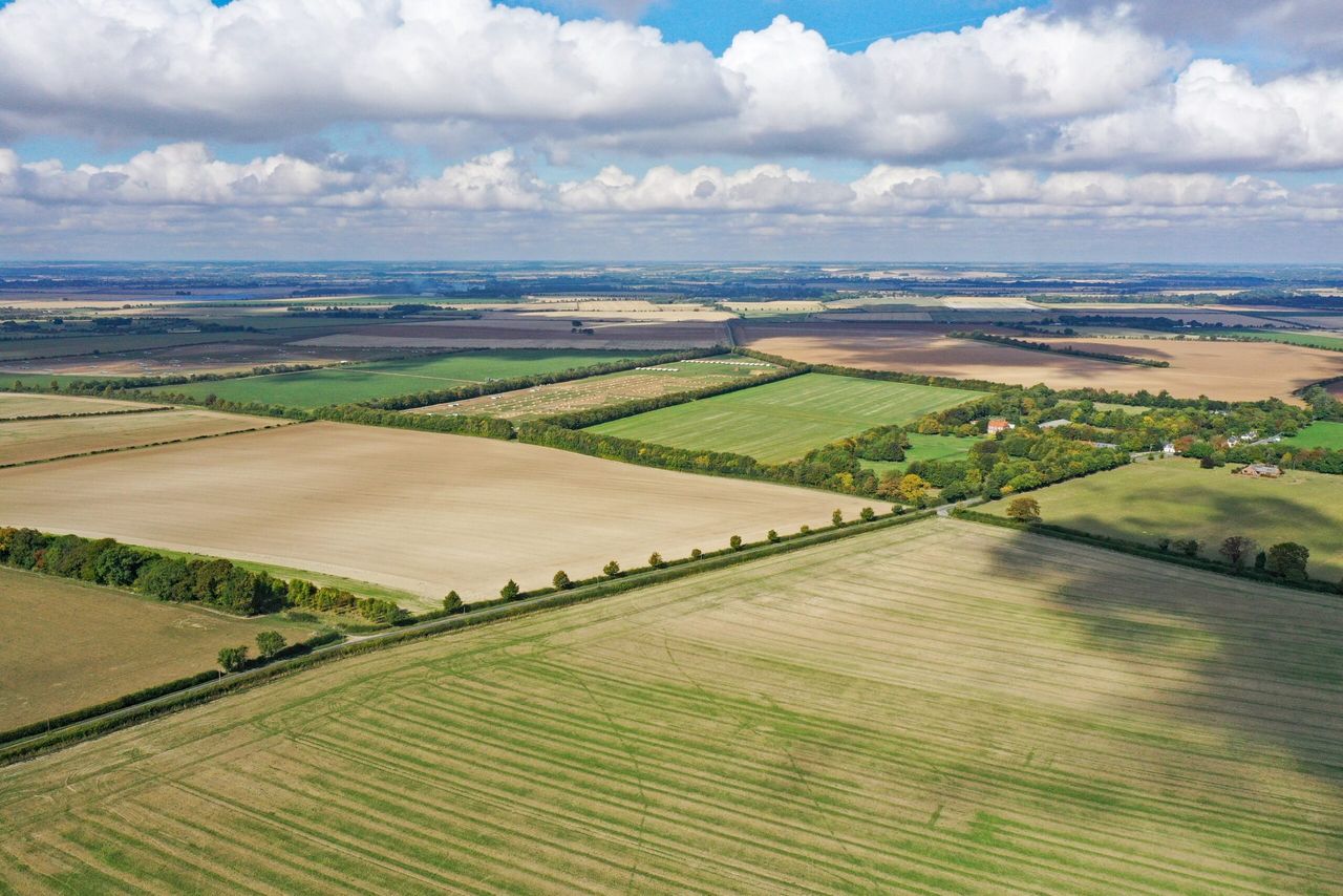 East Anglia farm of over 1,000ac comes onto the market