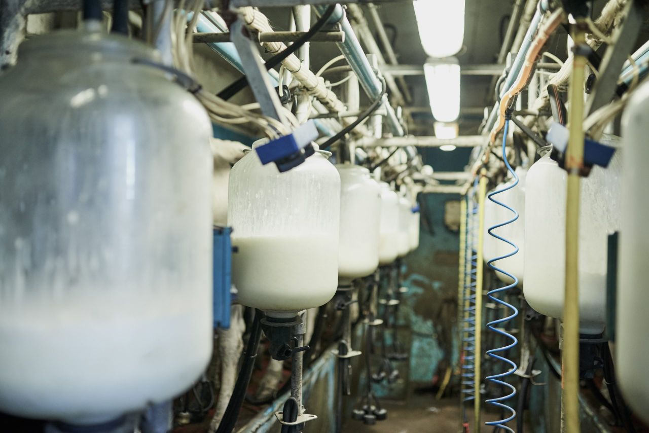 GB milk supplies remain too far ahead of processing capacity – AHDB