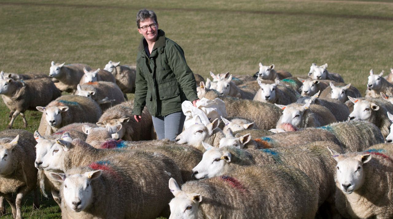 Workshop series to boost flock breeding potential
