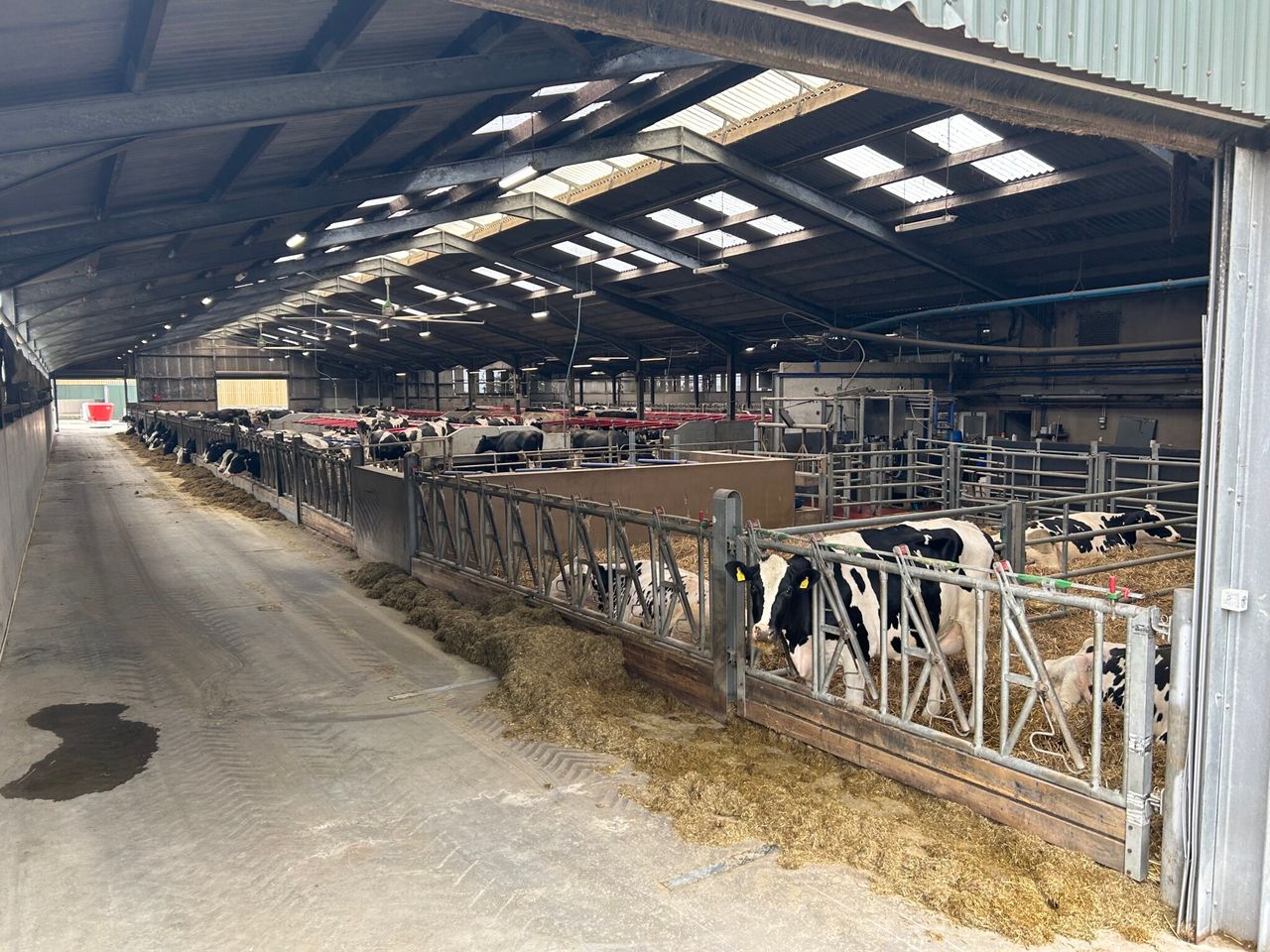 Dairy focus: Antrim father and son maximise farm efficiency