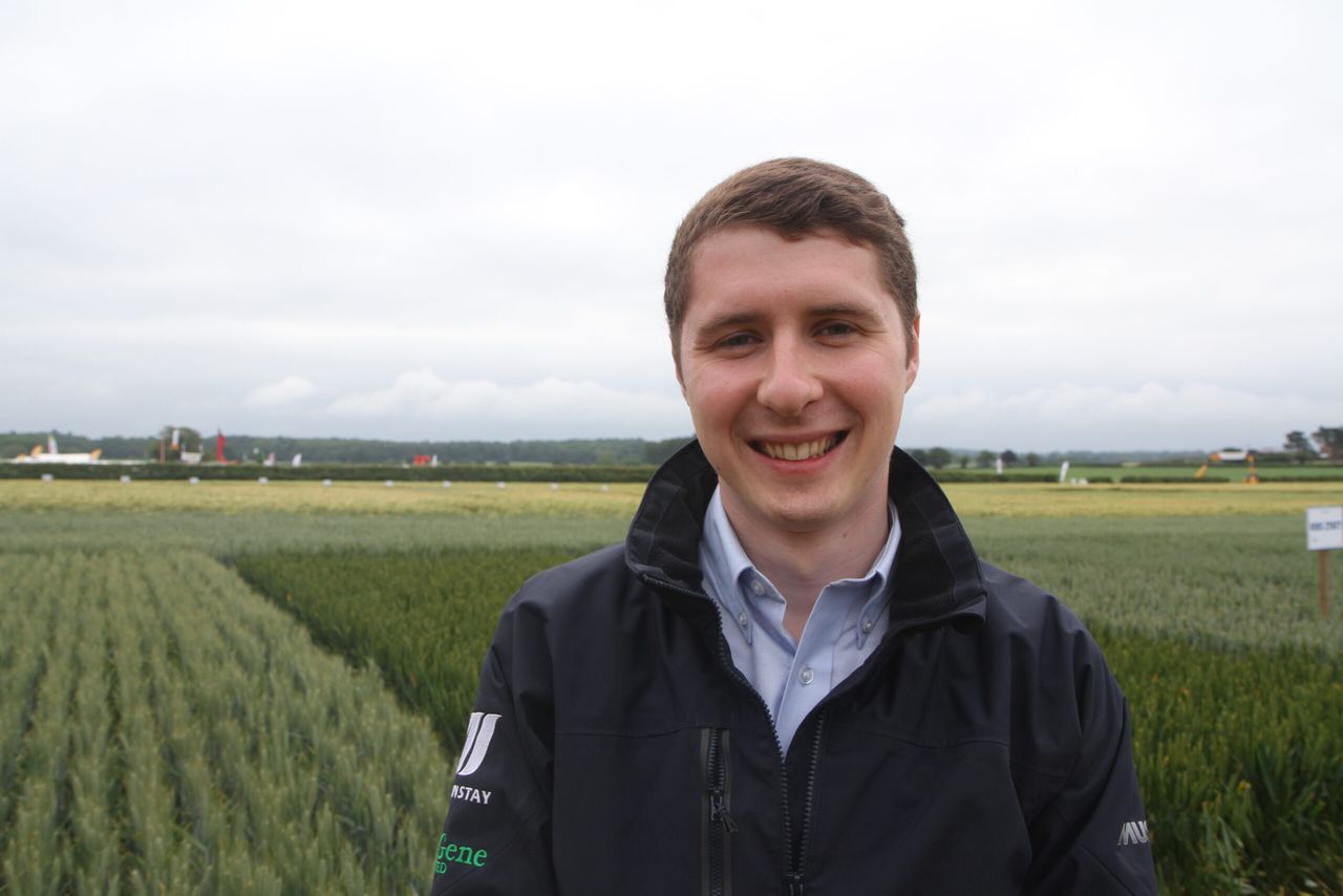 Cereal crops in the west looking well following recent rainfall