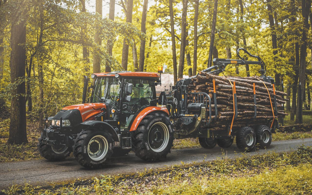 New report aims to show how forestry sector can benefit farmers