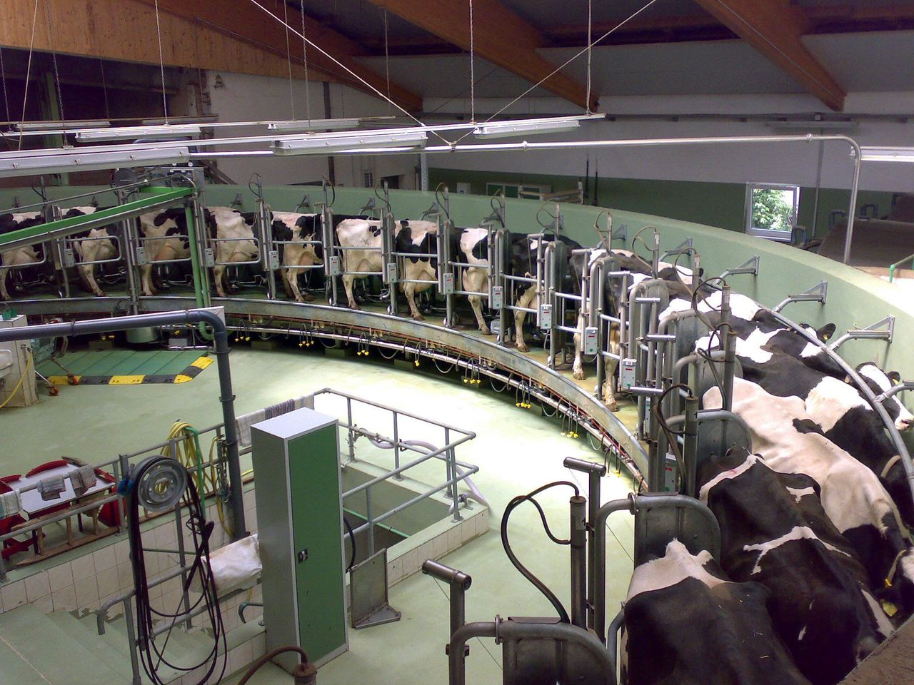 Northern production hits November record as milk prices rise above 33p/L