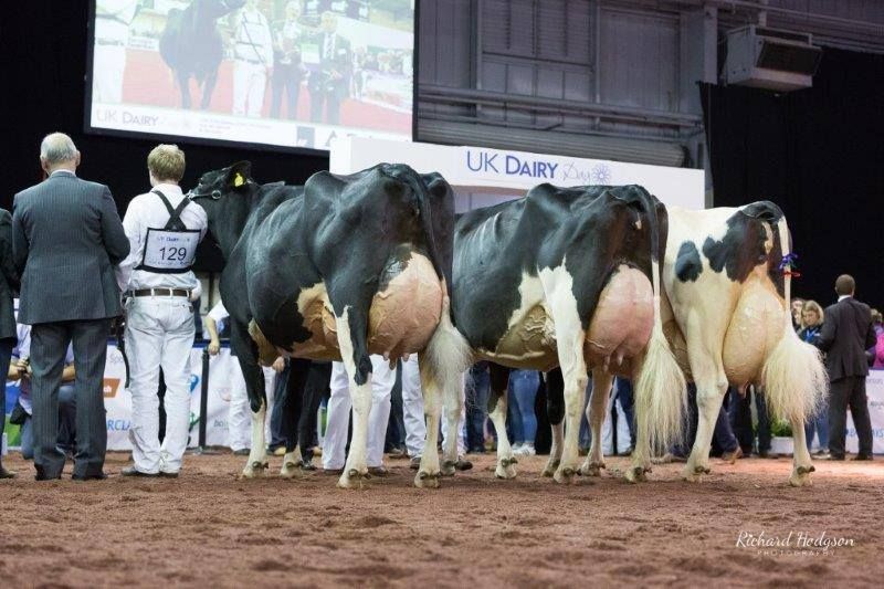 Holstein UK announces 2019 National Holstein Show Judge