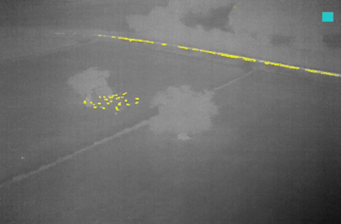 Night drone patrols enlisted to crack down on illegal field butchery