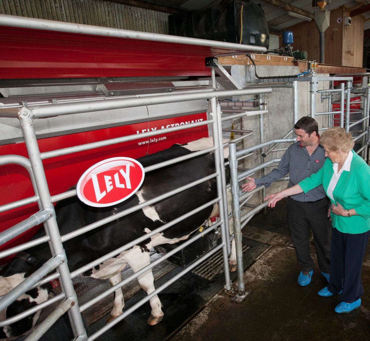 Lely live robotic milking cows are on the move
