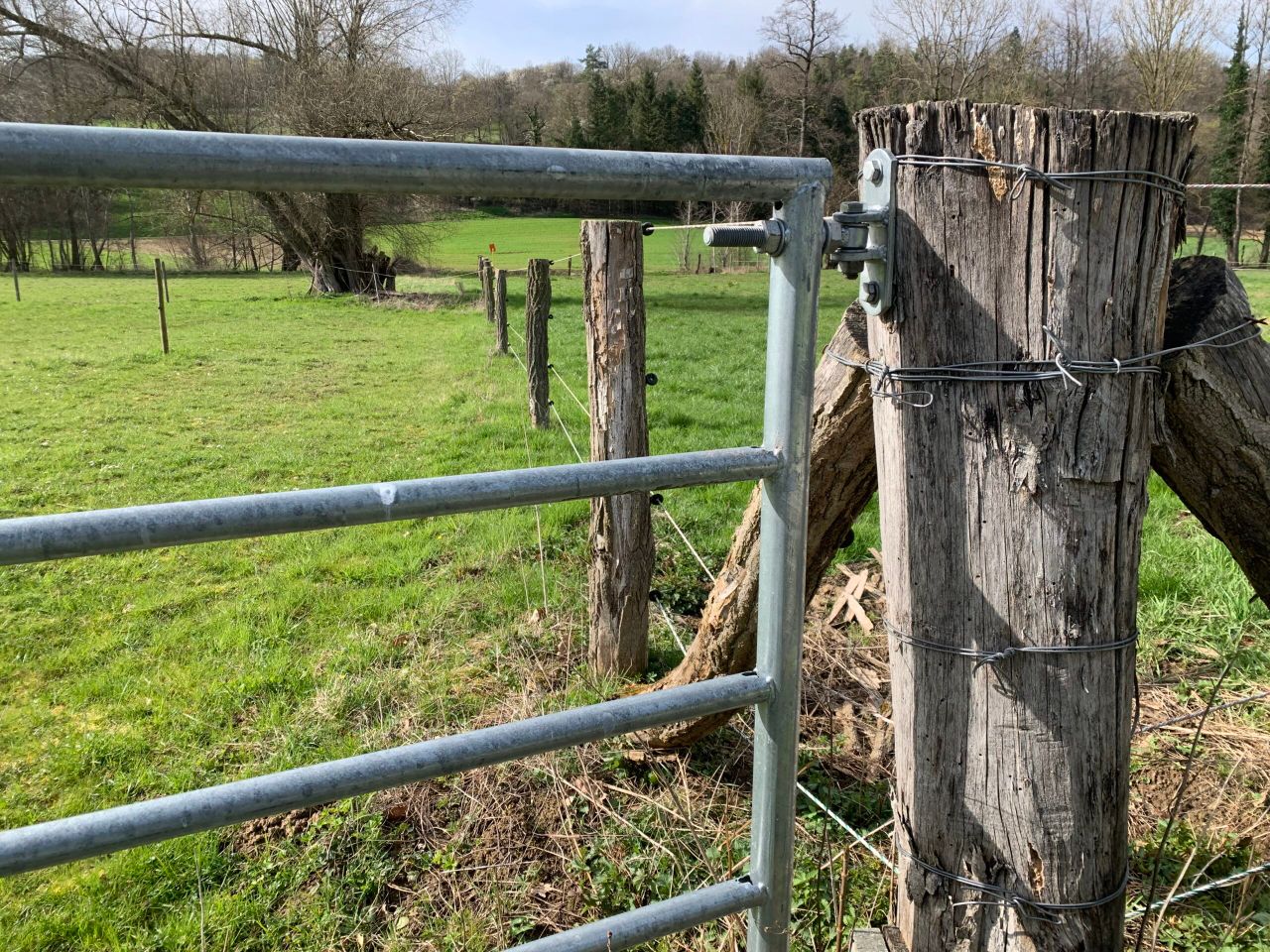 DAERA boosts security for staff after Tyrone cattle cull