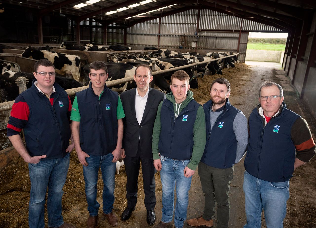 'Quality of expertise': Dale Farm members recognised as outstanding in their field