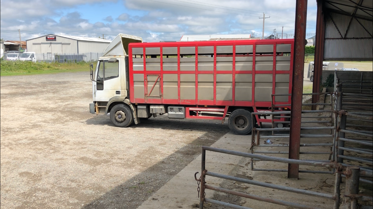 Exports of Northern Ireland lambs south continues to increase