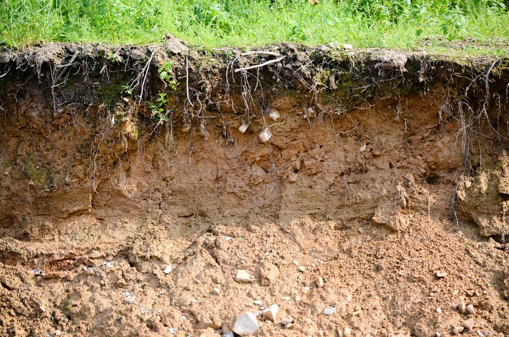 Last chance to attend soil analysis report training