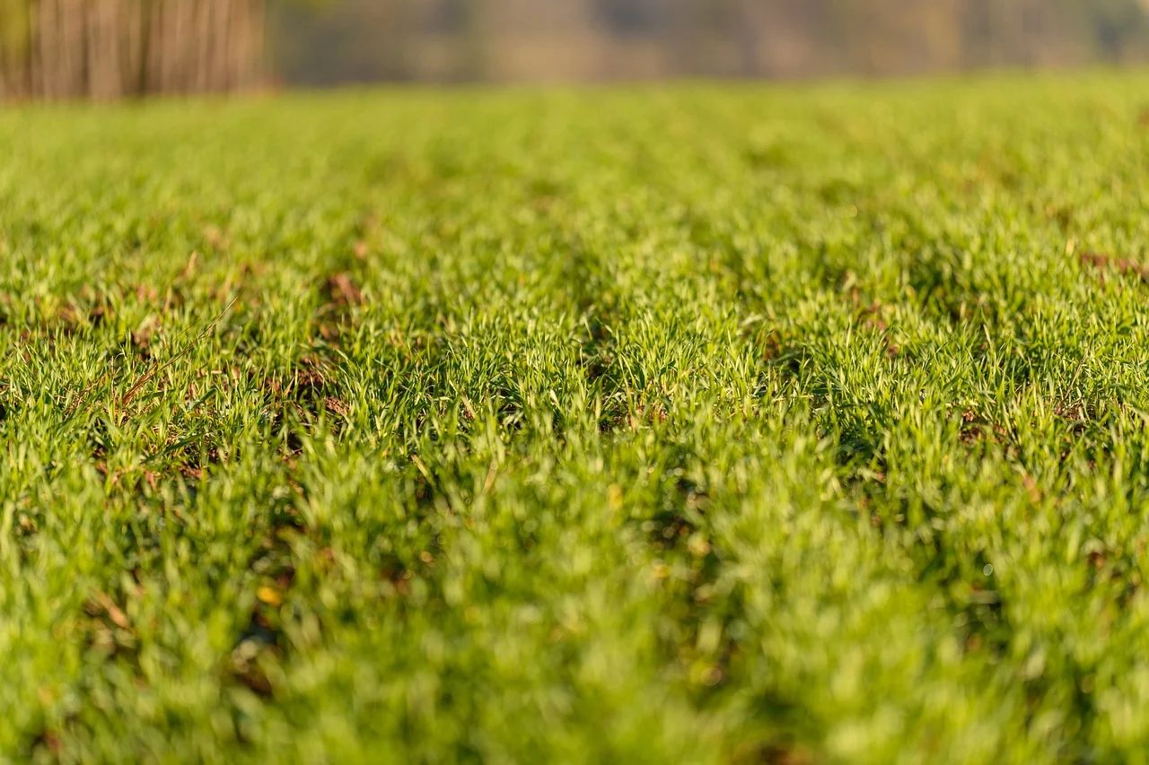 AHDB invests £2.5 million to 'accurately' report emissions