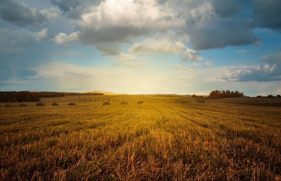 USDA: €800m for US farmers in financial distress