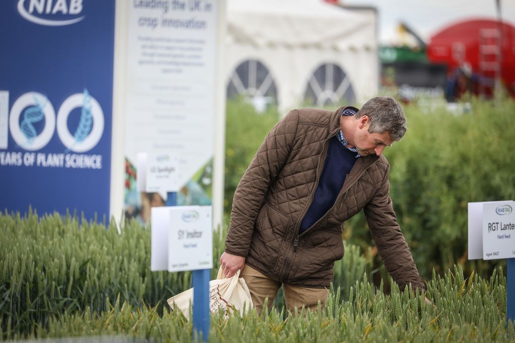 Cereals 2021 sets target to return as a physical show in June