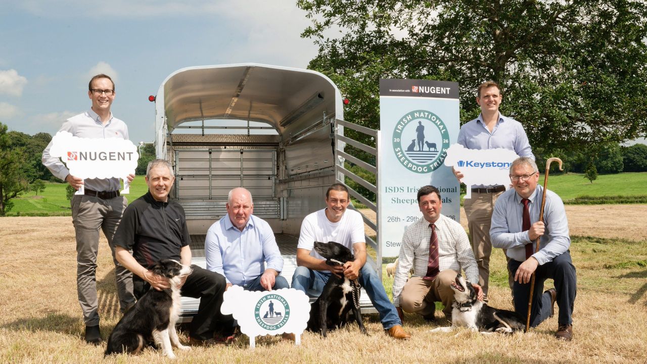 Irish National Sheepdog Trials set to take place in Tyrone