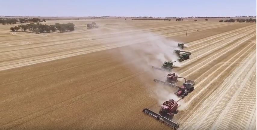 Video: Drone footage captures the scale of the Australian harvest
