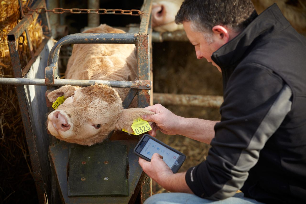 Herdwatch underlines NI presence with trip to Winter Fair