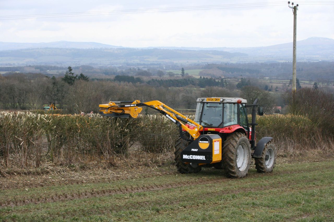 Flexibility to be allowed on hedgecutting dates on pilot basis
