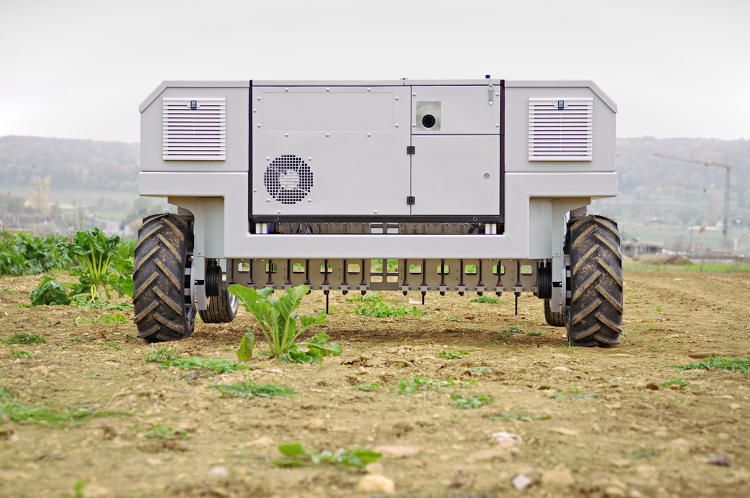 'Robots will support, not replace, growers in the future'