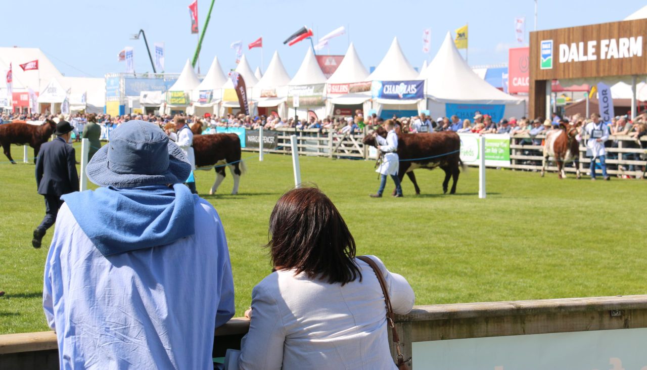 Results and pictures: All the action from the beef rings on Balmoral Day 1