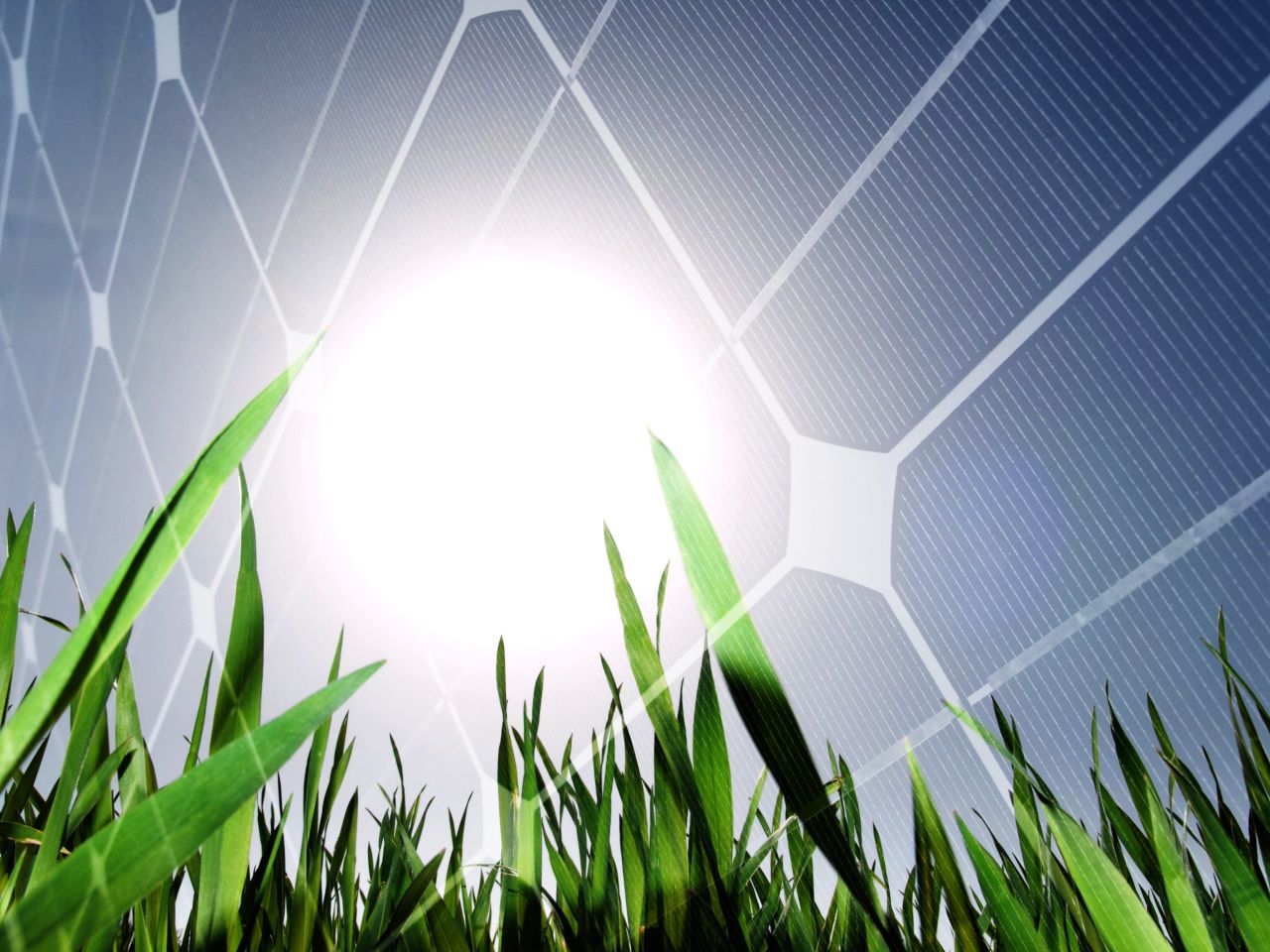 Low Carbon Agriculture Show opens registration for 2025