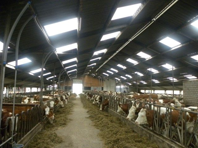 Why some European dairy farmers want supply control in times of crisis