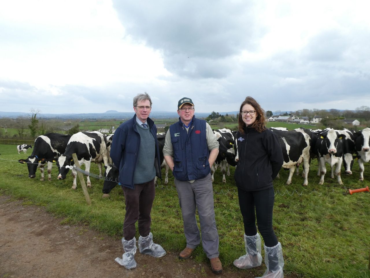GrassCheck farm walk: Maximising milk from grazed grass with high-yielding cows