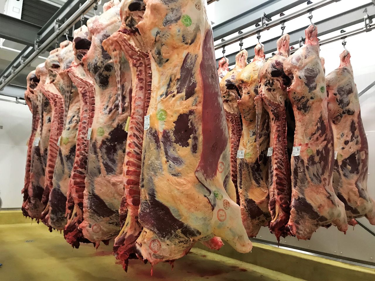Beef and Lamb prices must strengthen warns UFU