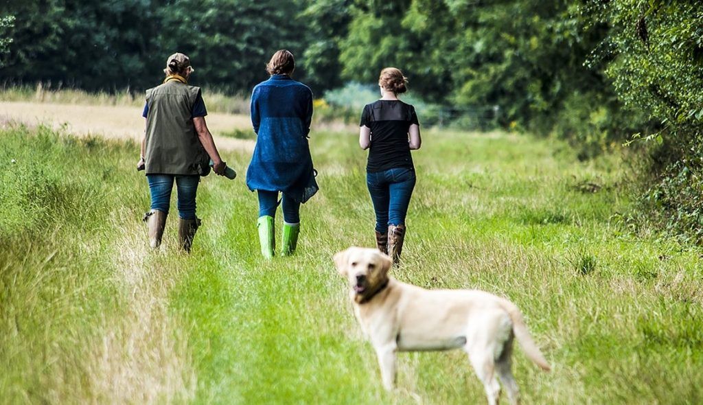 Make teaching the Countryside Code for children compulsory - CLA