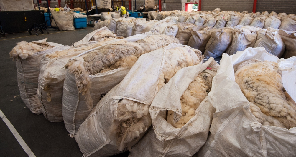 NI sheep farmers urged to ‘use it or lose it’ with wool board