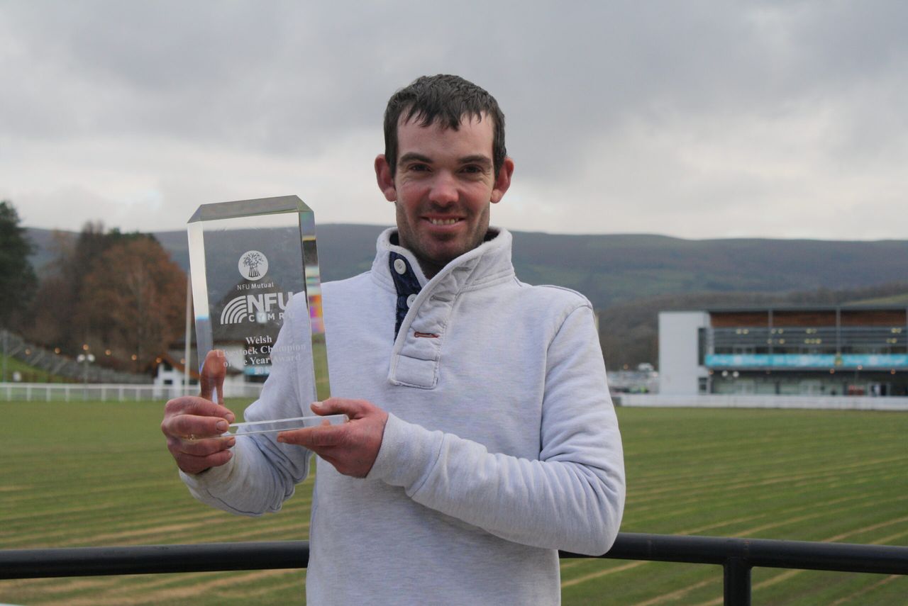 Search is on for Welsh Livestock Champion