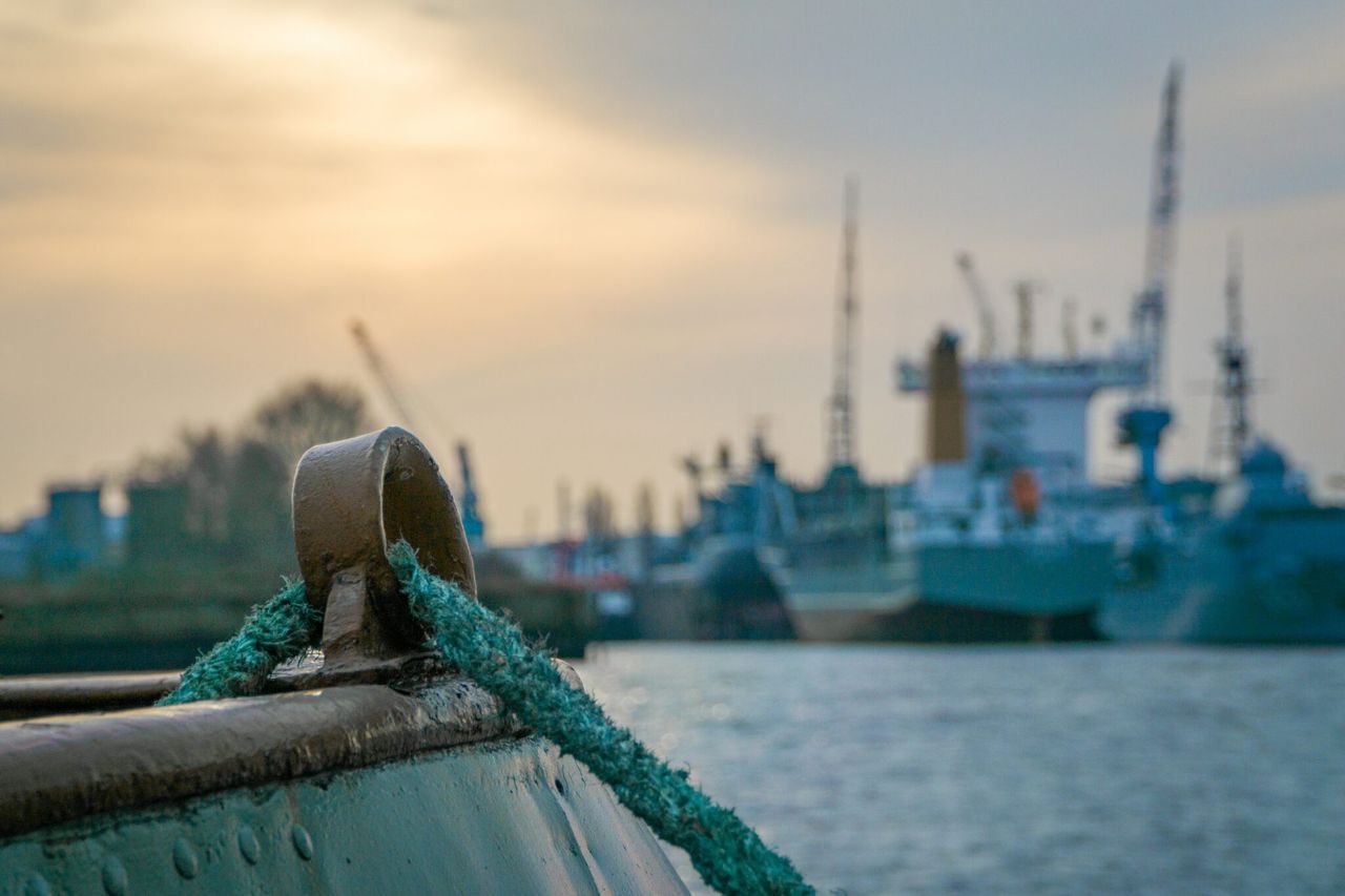 Search underway for 42 crew after cattle ship capsizes in East China Sea