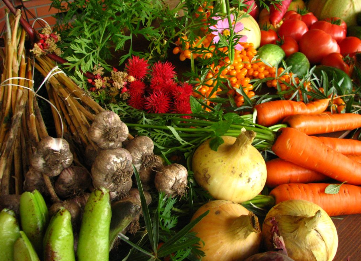 Defra data shows growth among UK organic producers