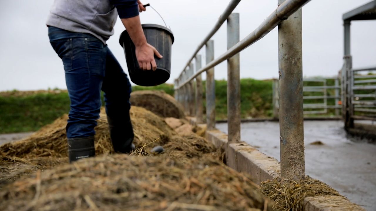 McAleer: Farmers in the North could be left behind