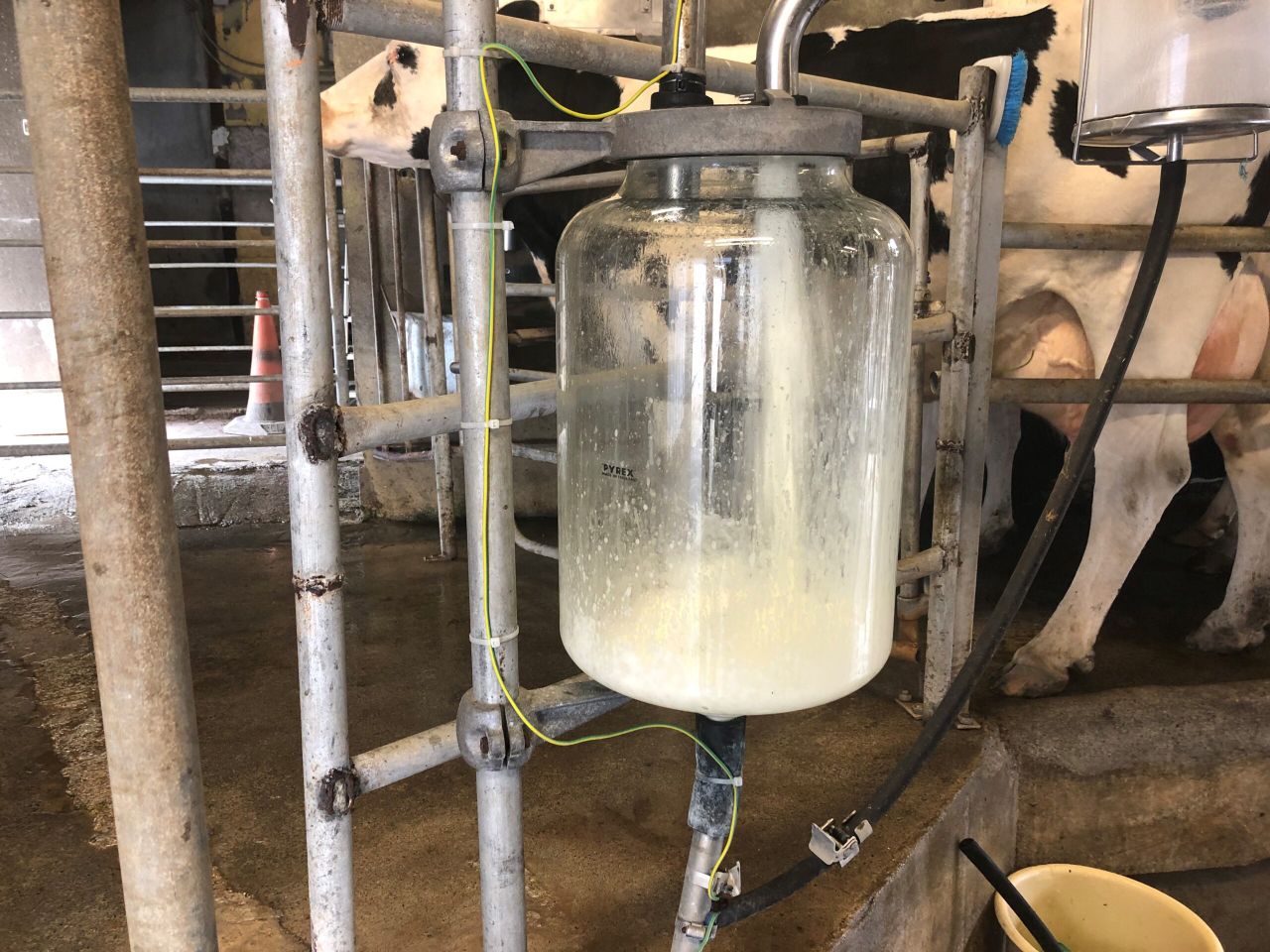Glanbia to move northern suppliers to solids-based pricing by 2024