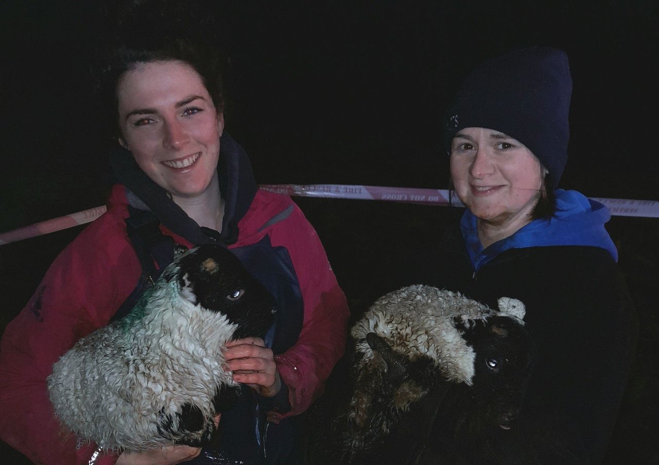 Lambs missing for 3 days rescued from 12m mine shaft by firefighters