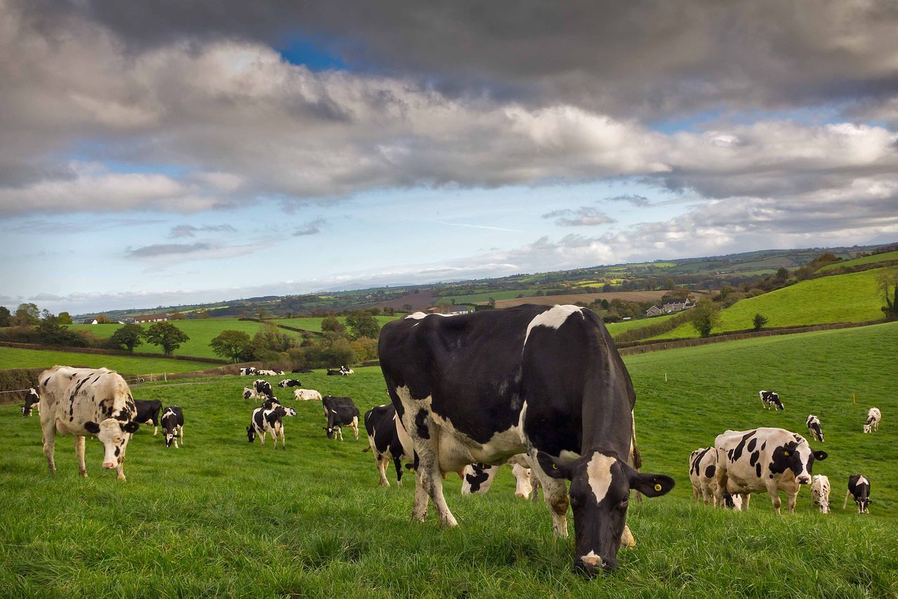 What should determine land prices?