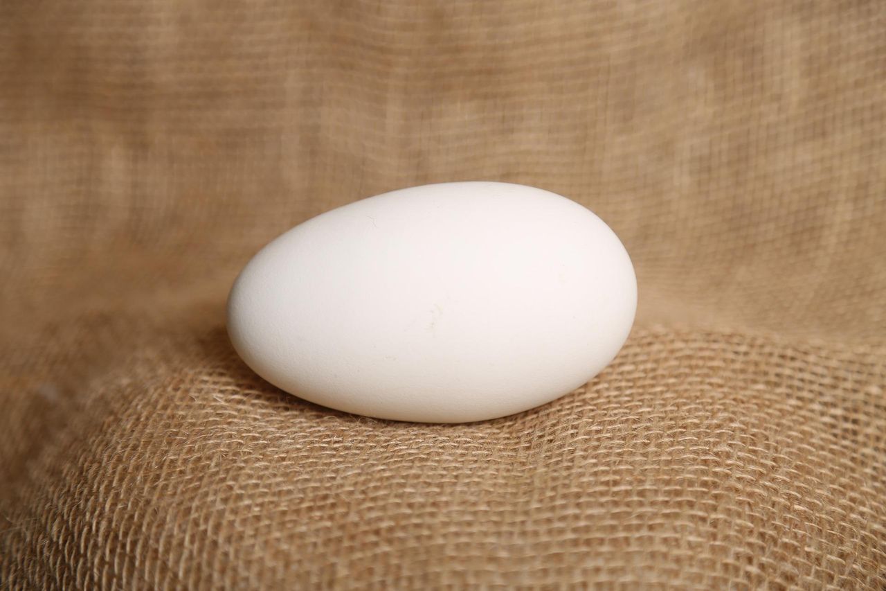 Researchers develop 'allergen-free' eggs
