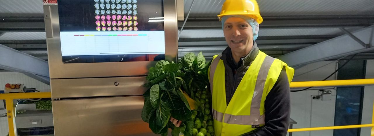 Machine dubbed 'Sproutatron' groups sprouts by size