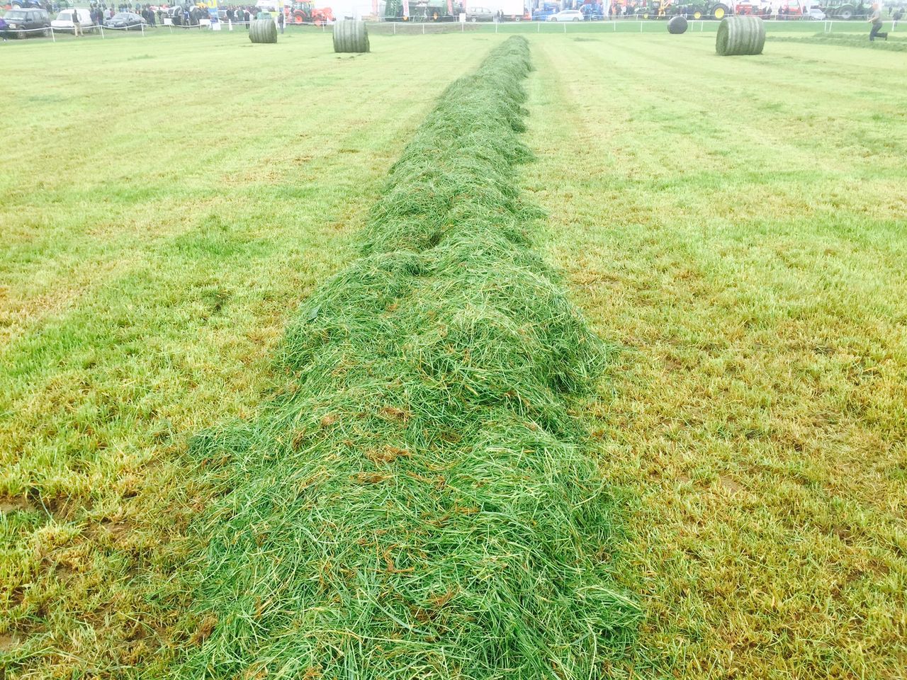Members wanted for grassland management discussion groups