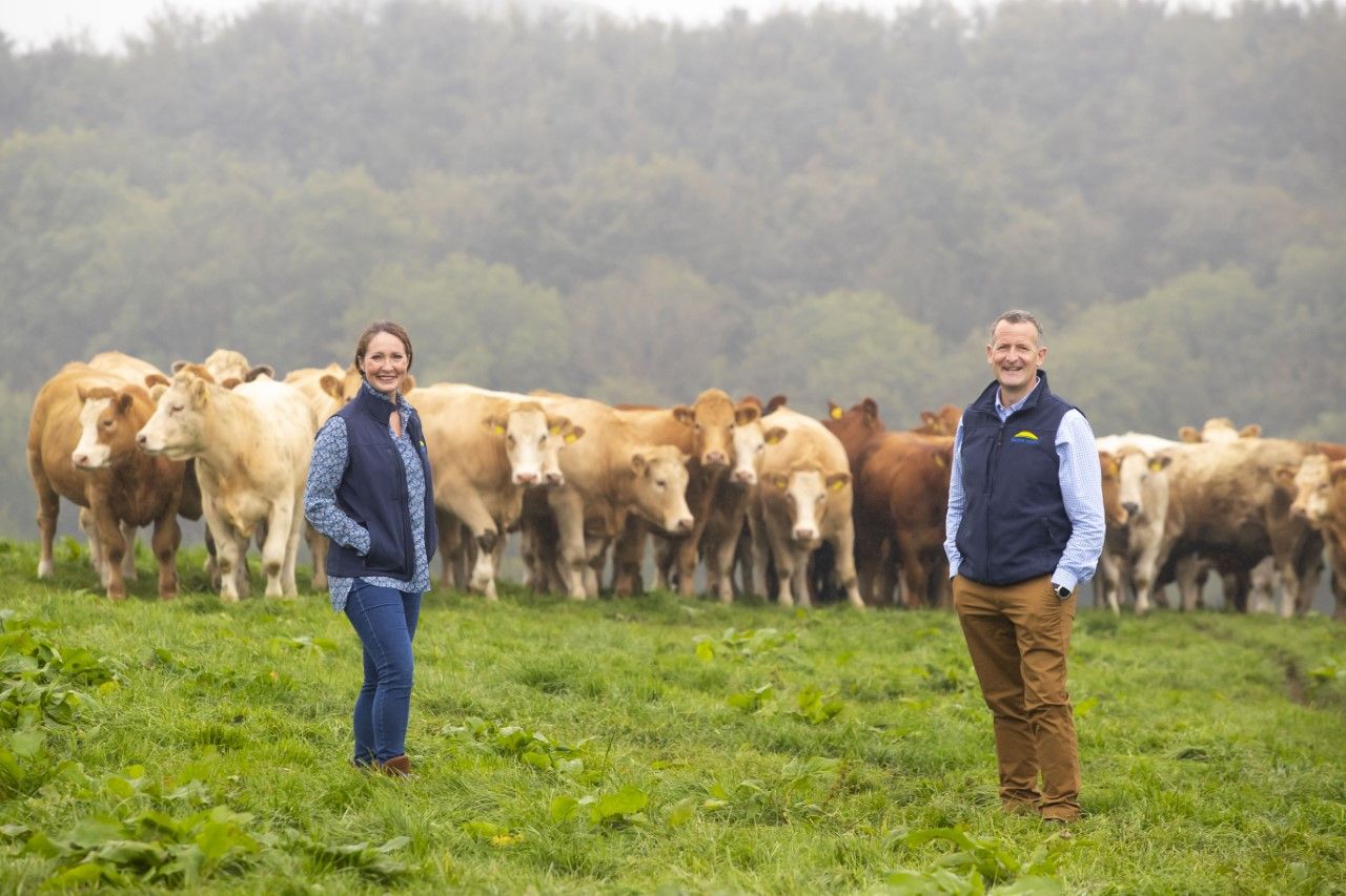 Dawn Meats invests £90m to reach net-zero target