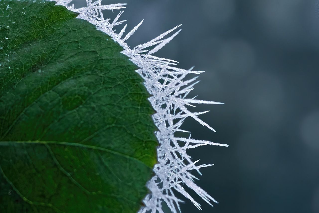 Amber Cold-Health alert in place until Friday - UKHSA
