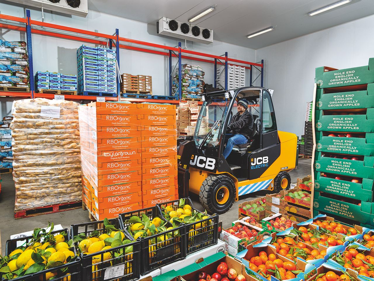 JCB Teletruk wins another environmental award