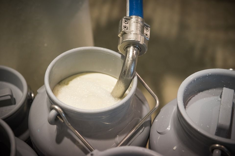 Commentary: Dairy commodity prices and global milk supply