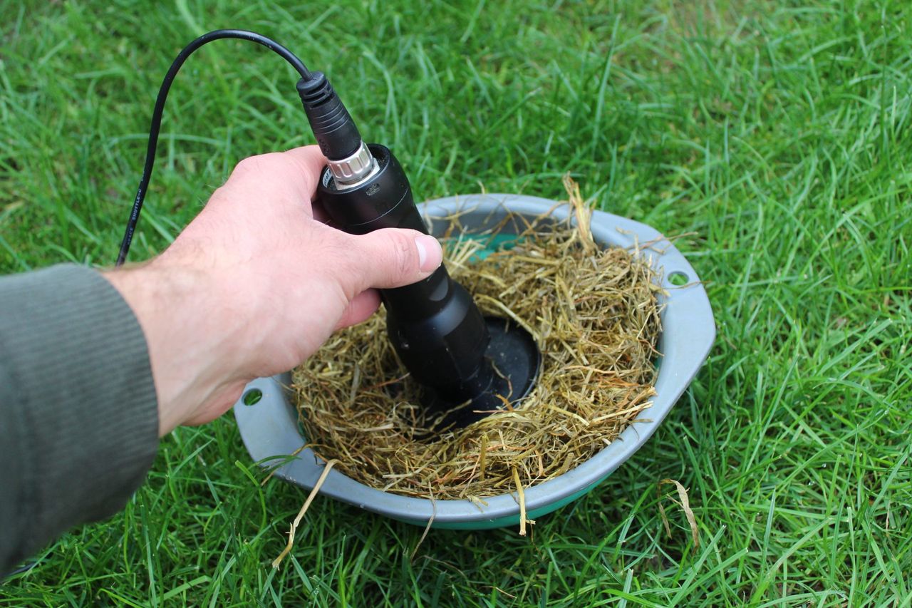Dairy advice: Time to test the winter milking herd’s silage