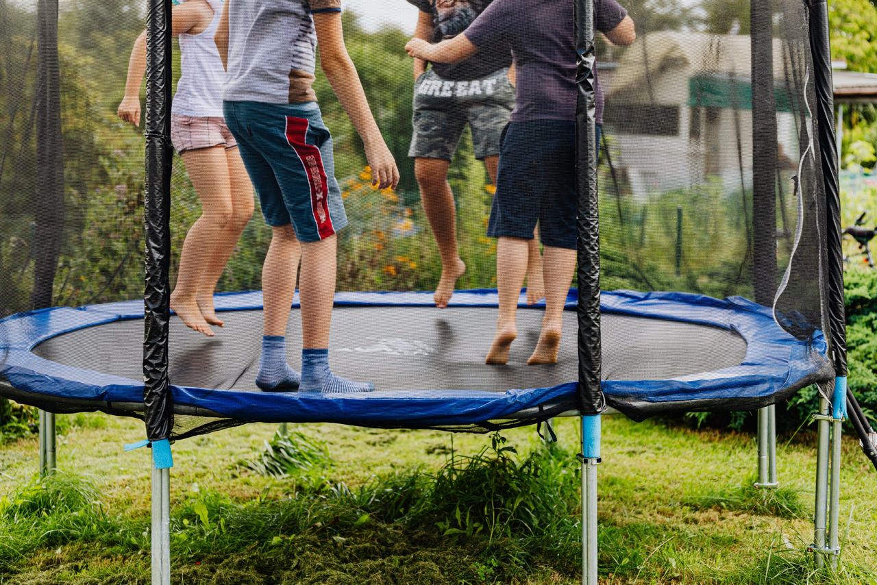 Missing cow discovered…stuck on trampoline